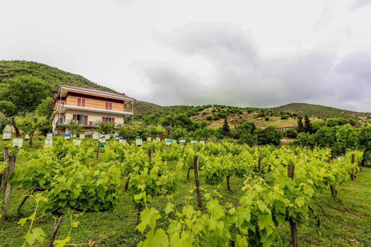 Country Home Genesi 20 Min From Trikala Екстер'єр фото