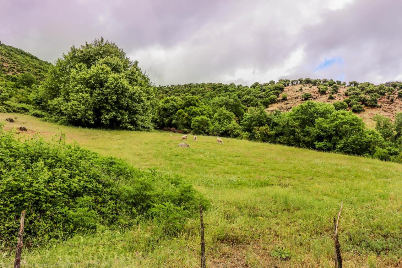 Country Home Genesi 20 Min From Trikala Екстер'єр фото