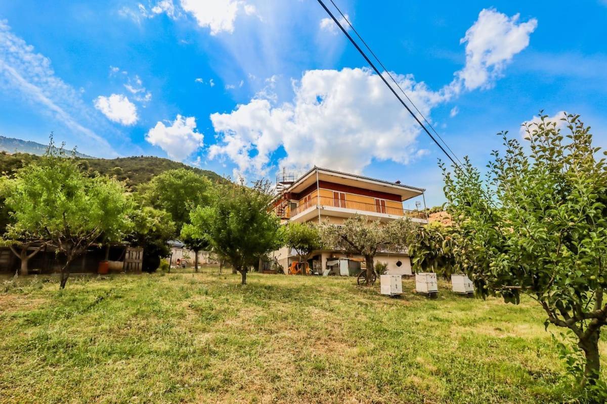 Country Home Genesi 20 Min From Trikala Екстер'єр фото
