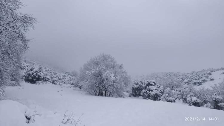 Country Home Genesi 20 Min From Trikala Екстер'єр фото