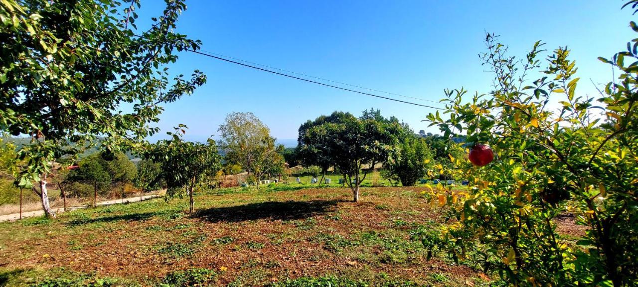 Country Home Genesi 20 Min From Trikala Екстер'єр фото