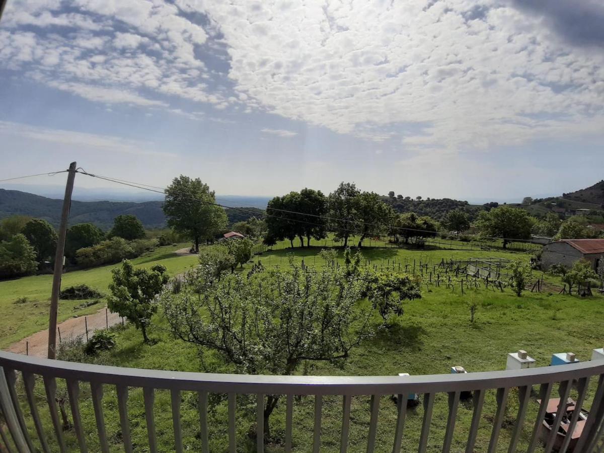 Country Home Genesi 20 Min From Trikala Екстер'єр фото