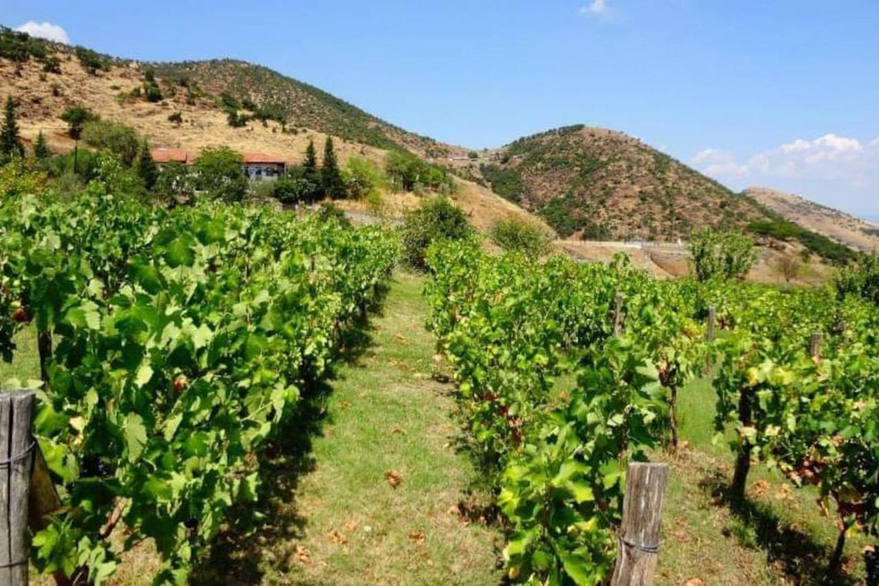 Country Home Genesi 20 Min From Trikala Екстер'єр фото