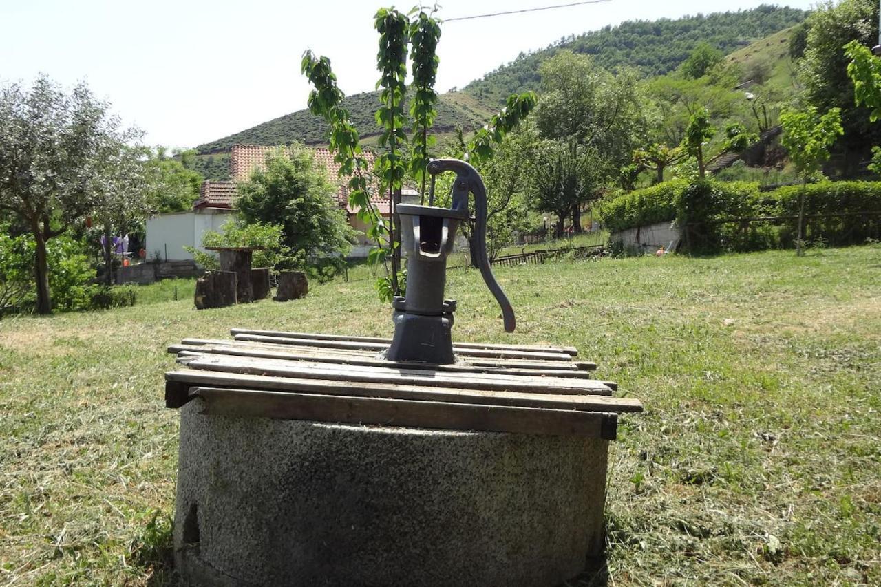 Country Home Genesi 20 Min From Trikala Екстер'єр фото